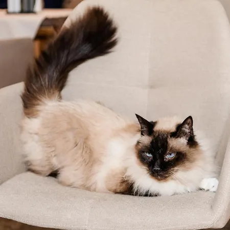 Gabi Wals-Siezenheim