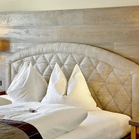 Hotel Gabi Wals-Siezenheim